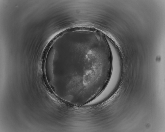 X0000099290830200805021229