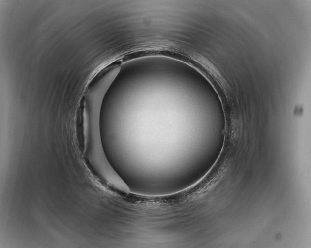 X0000099290834200805021230