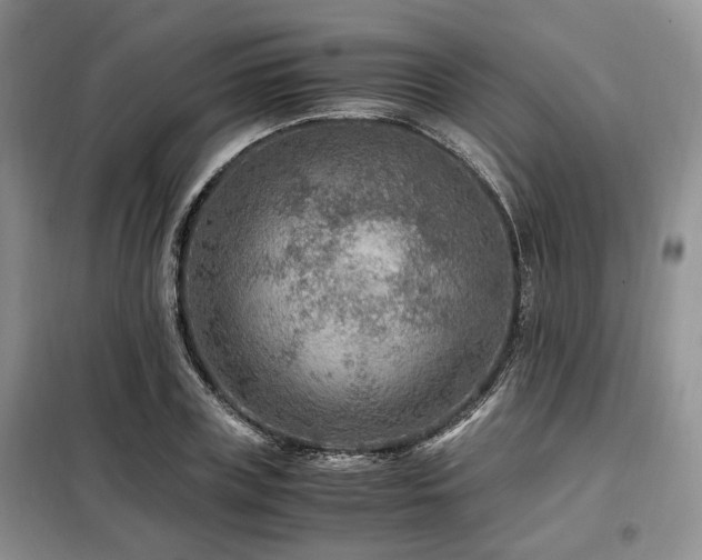 X0000099290835200805021230