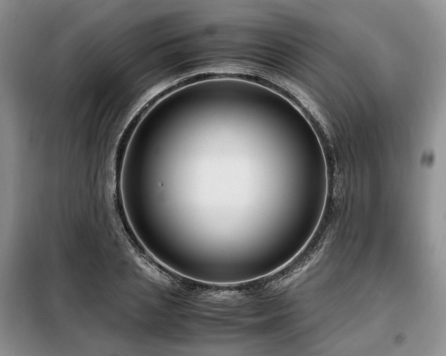 X0000099290837200805021230