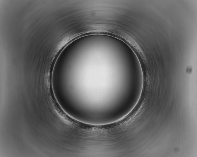 X0000099290842200805021230