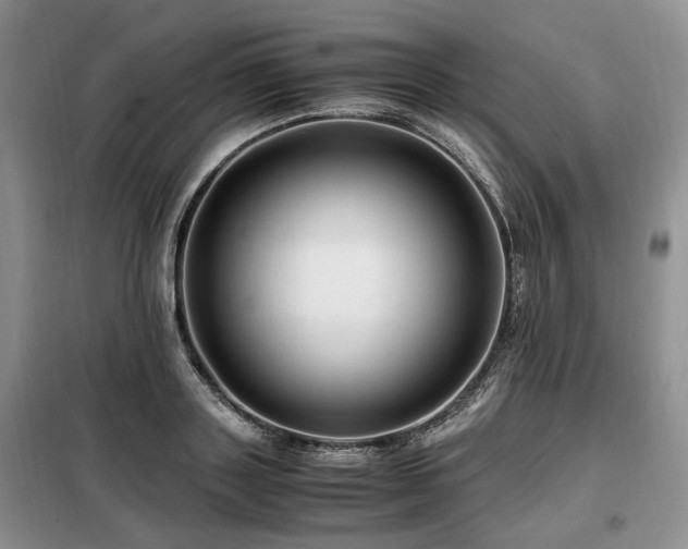 X0000099290843200805021230