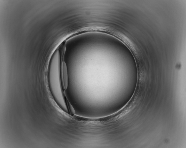 X0000099290844200805021230