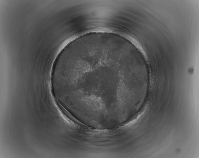 X0000099290845200805021230