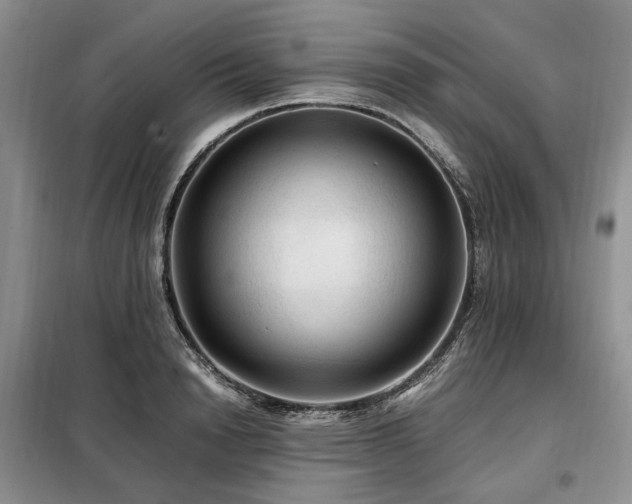 X0000099290846200805021230