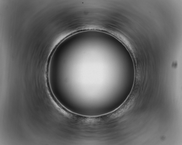 X0000099290847200805021230