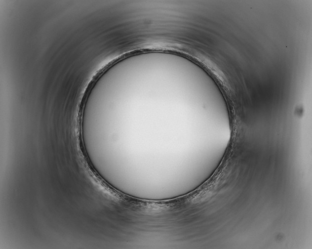 X0000099290848200805021230