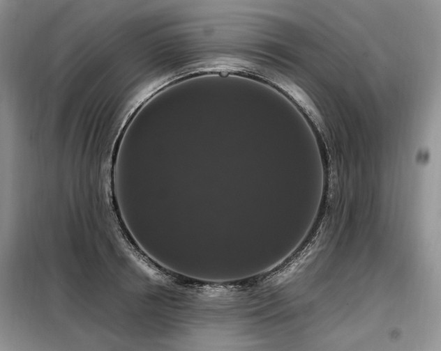 X0000099290850200805021230
