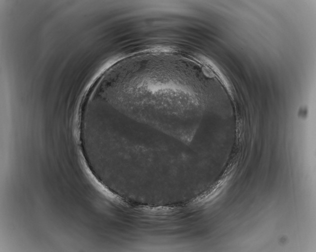 X0000099290851200805021230