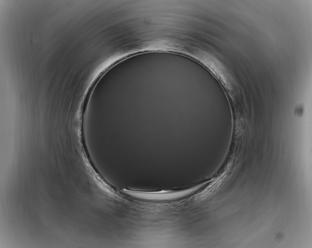 X0000099290854200805021230