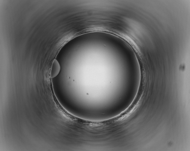 X0000099290857200805021230