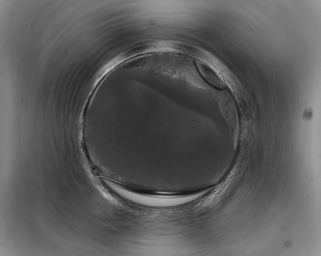 X0000099290858200805021230