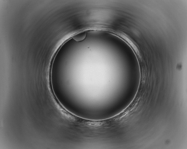 X0000099290861200805021230