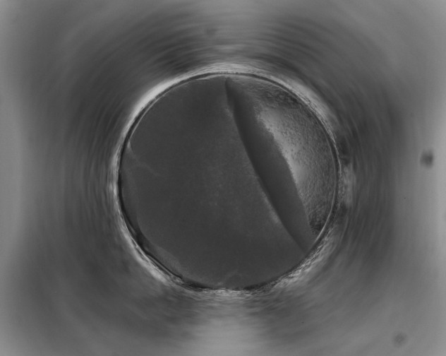 X0000099290862200805021230
