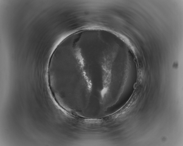 X0000099290863200805021230