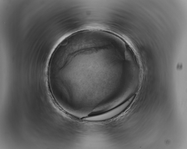 X0000099290864200805021230