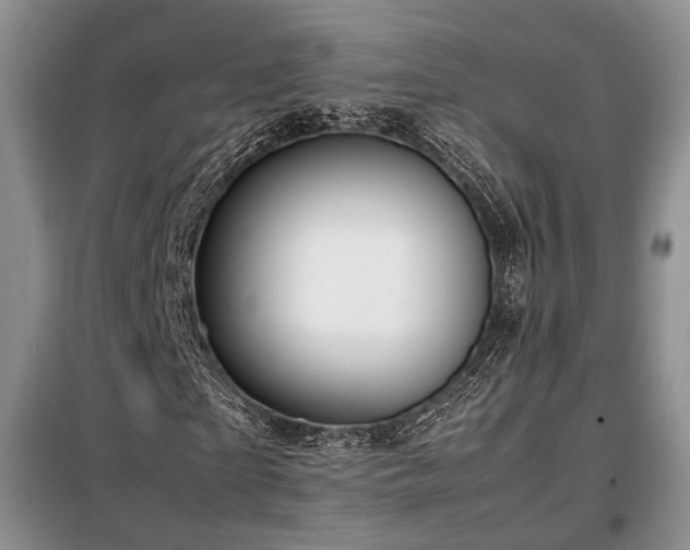 X0000099290865200805021229