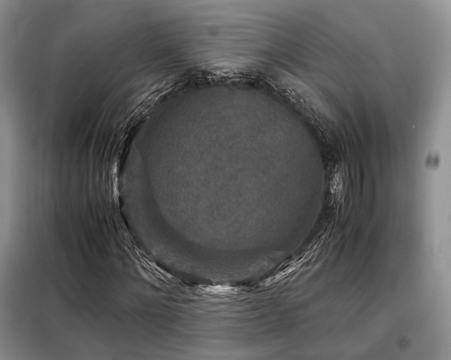 X0000099290868200805021229