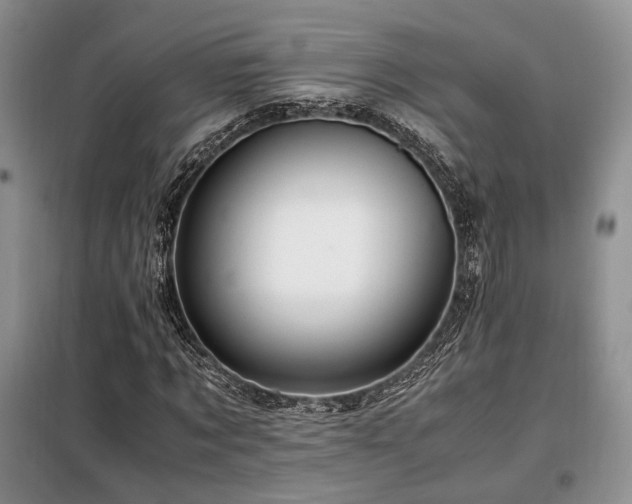 X0000099290869200805021229