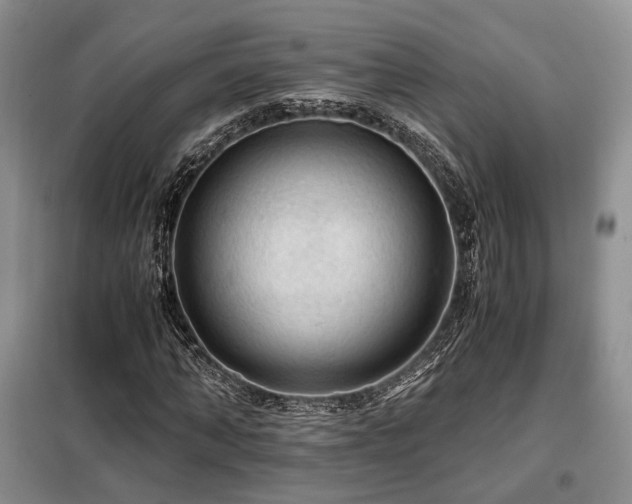 X0000099290870200805021229