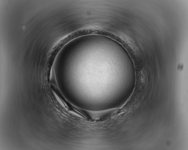 X0000099290872200805021229