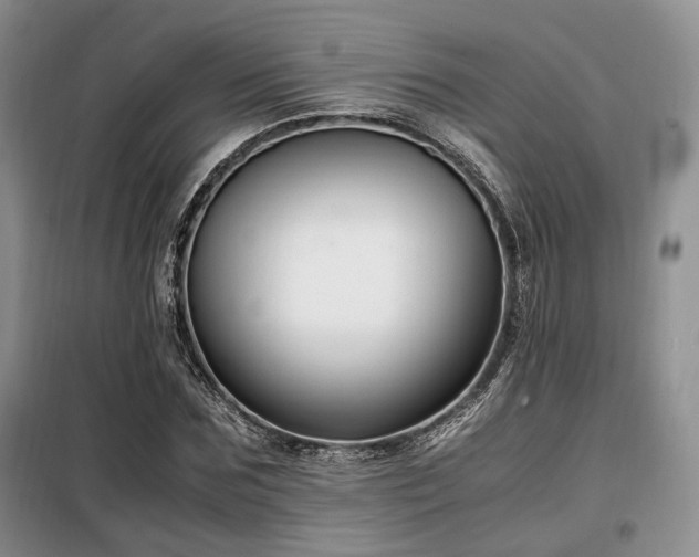 X0000099290875200805021229