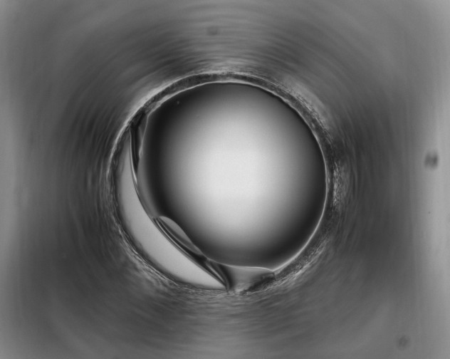 X0000099290876200805021229