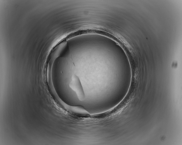 X0000099290877200805021229