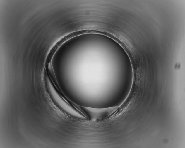 X0000099290880200805021229
