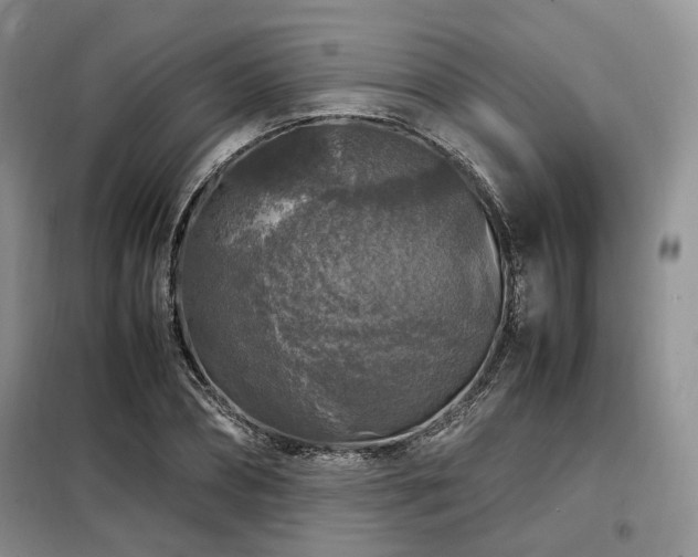 X0000099290882200805021229