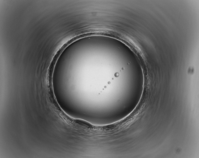 X0000099290883200805021229