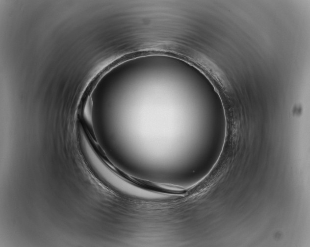 X0000099290884200805021229