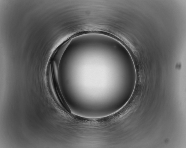 X0000099290885200805021229