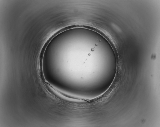 X0000099290887200805021229