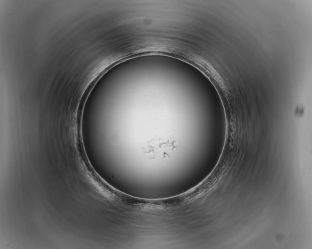 X0000099290890200805021229