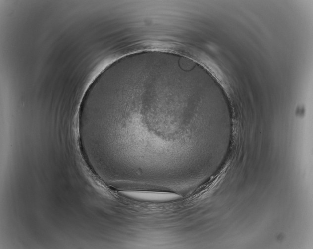 X0000099290891200805021229