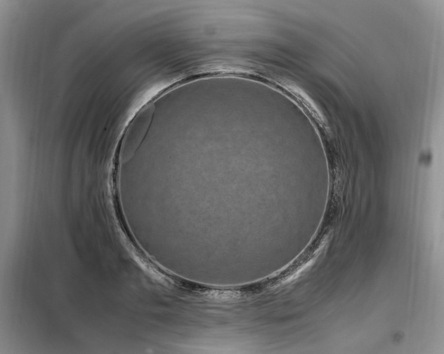 X0000099290893200805021229