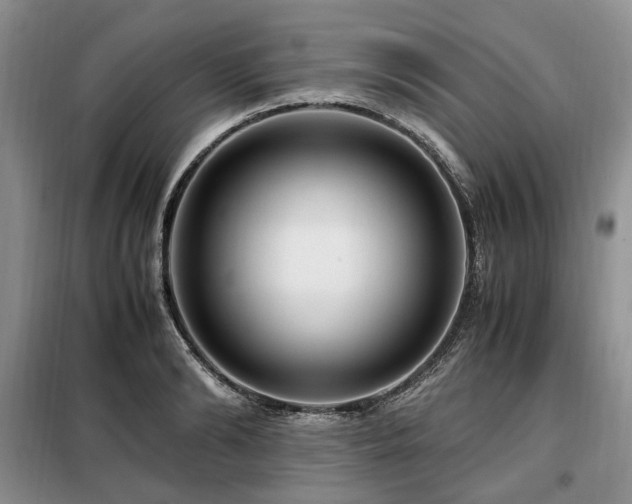 X0000099290894200805021229