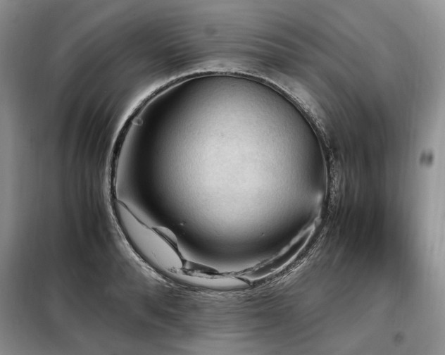 X0000099290896200805021229