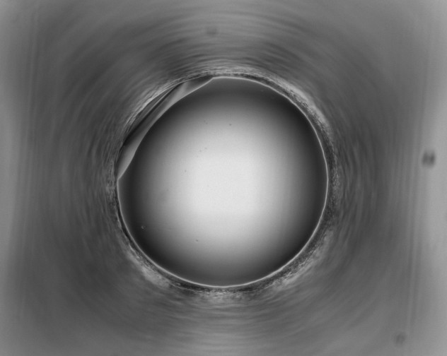 X0000099290897200805021229