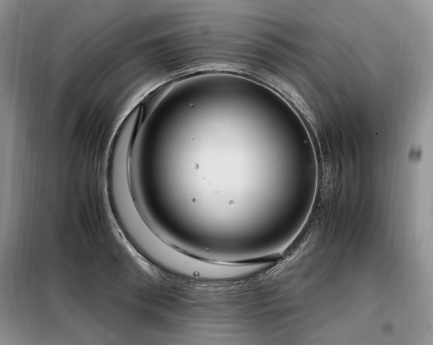 X0000099290898200805021229