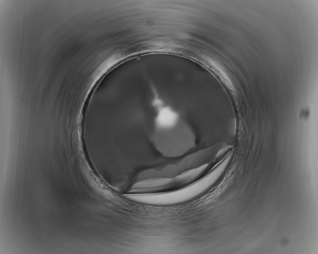 X0000099290899200805021229