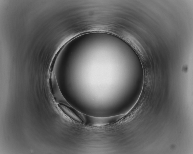 X0000099290900200805021229