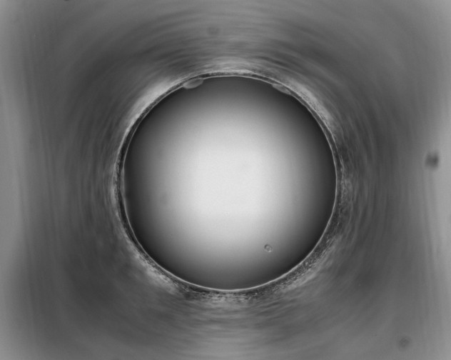 X0000099290901200805021229