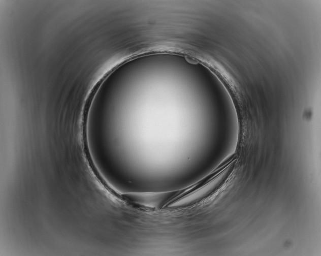 X0000099290902200805021229
