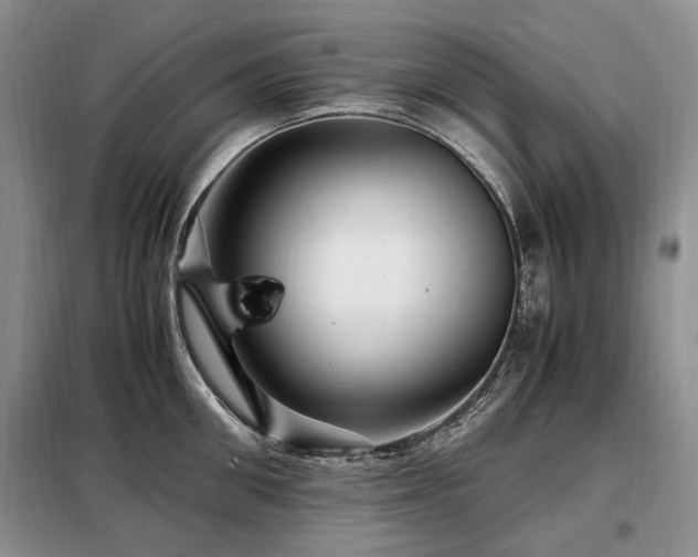 X0000099290906200805021229