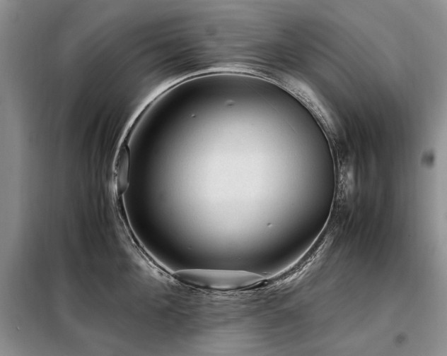 X0000099290908200805021229
