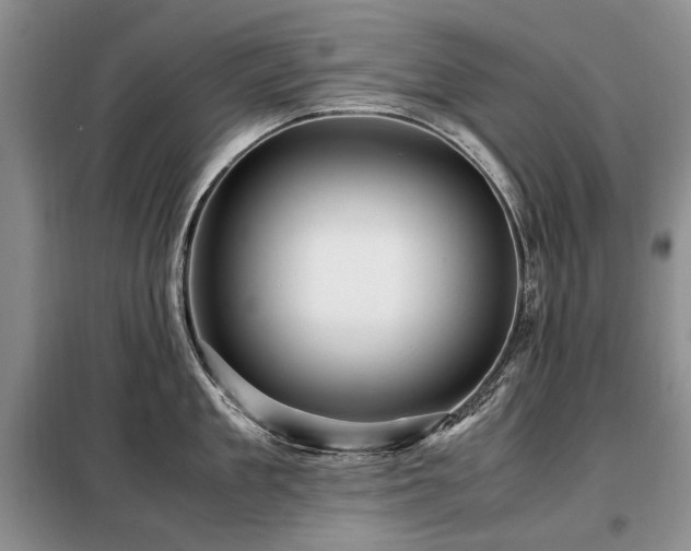X0000099290909200805021229