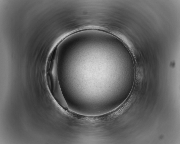 X0000099290910200805021229