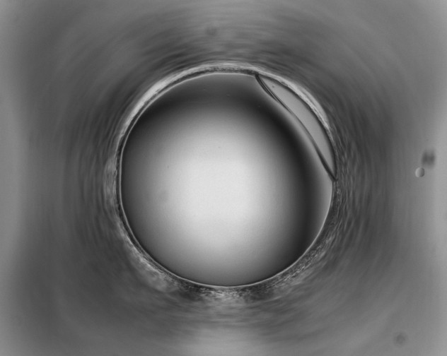 X0000099290911200805021229